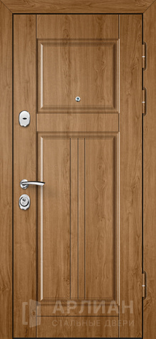 Фото «Дверь с МДФ №365»